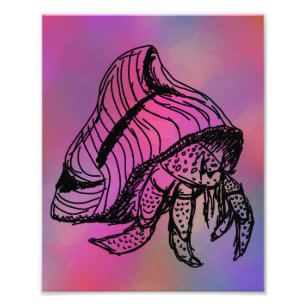 Hermit Crab Print Fotodruck