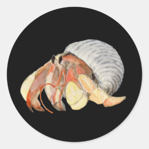 Hermit Crab Runder Aufkleber