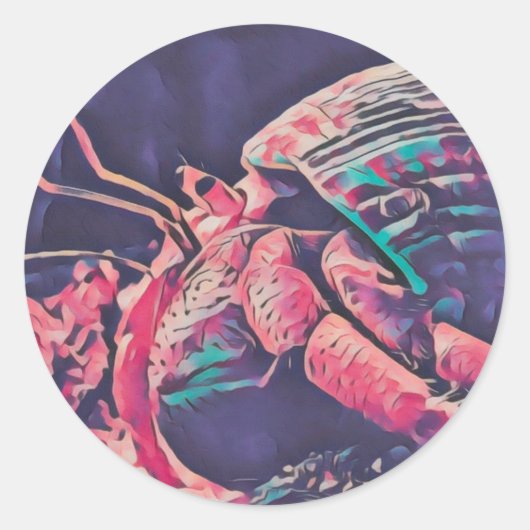 Hermit Crab Sticker (Vorderseite)