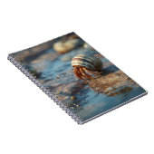Hermit Crab Striped Seashell Notebook Notizblock (Rechte Seite)