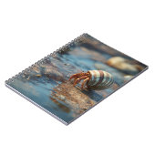 Hermit Crab Striped Seashell Notebook Notizblock (Linke Seite)