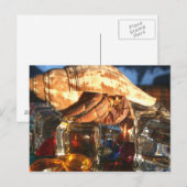 Hermit Crab über Eiskuben Postkarte (Vorne/Hinten)