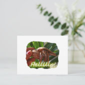 Hermit Crab und Hilfe Text , lustiges Tierdesign Postkarte (Stehend Vorderseite)