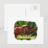 Hermit Crab und Hilfe Text , lustiges Tierdesign Postkarte (Vorne/Hinten)