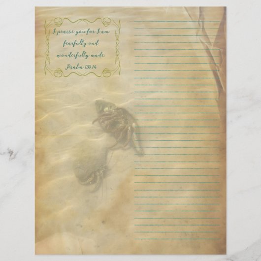 Hermit Crabs Scripture Scrapbook Paper Flyer (Vorne)