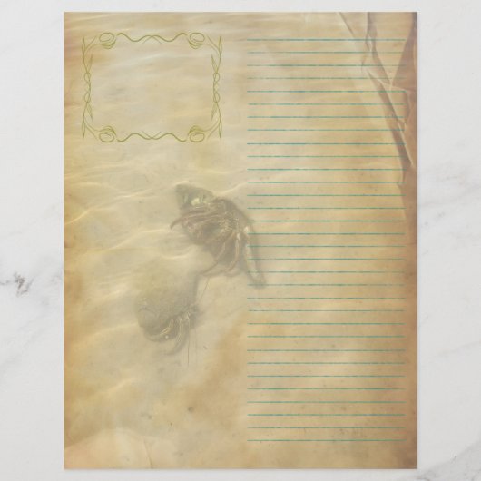 Hermit Crabs Scripture Scrapbook Paper Flyer (Hinten)