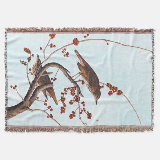 Hermit Thrush Audubon Bird mit Red Berries Decke (Vorderseite)