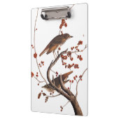 Hermit Thrush Audubon Bird mit Red Berries Klemmbrett (Links)
