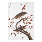 Hermit Thrush Audubon Bird mit Red Berries Mini Klemmbrett (Rückseite)