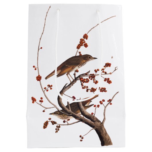 Hermit Thrush Audubon Bird mit Red Berries Mittlere Geschenktüte (Rückseite)