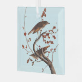 Hermit Thrush Audubon Bird mit Red Berries Ornament Aus Glas (Vorderseite links)