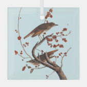 Hermit Thrush Audubon Bird mit Red Berries Ornament Aus Glas (Vorderseite)