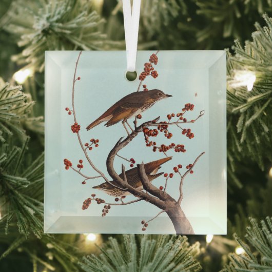 Hermit Thrush Audubon Bird mit Red Berries Ornament Aus Glas (Insitu)