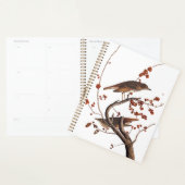 Hermit Thrush Audubon Bird mit Red Berries Planer (Anzeige)