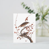 Hermit Thrush Audubon Bird mit Red Berries Postkarte (Stehend Vorderseite)