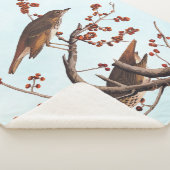 Hermit Thrush Audubon Bird mit Red Berries Sherpadecke (3/4)