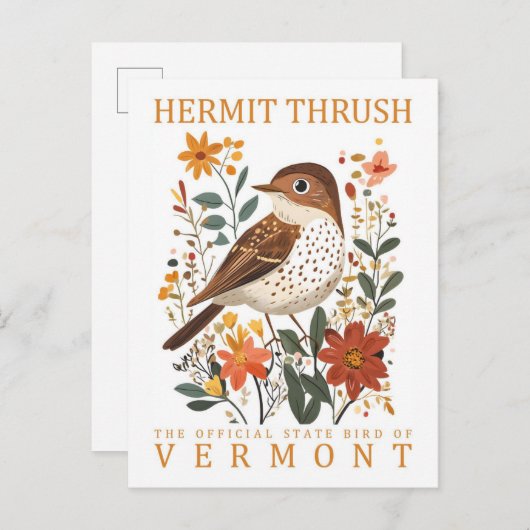 Hermit Thrush Bird von Vermont Travel Postkarte (Vorne/Hinten)