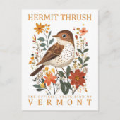 Hermit Thrush Bird von Vermont Travel Postkarte (Vorderseite)