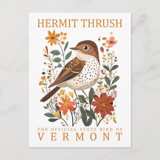 Hermit Thrush Bird von Vermont Travel Postkarte (Vorderseite)
