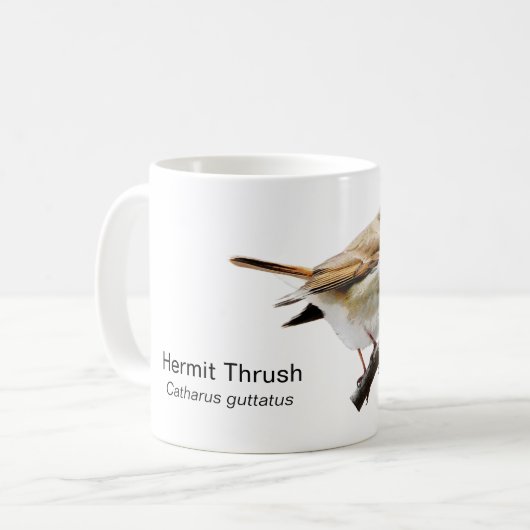 Hermit Thrush Coffee Tasse (Vorderseite Links)