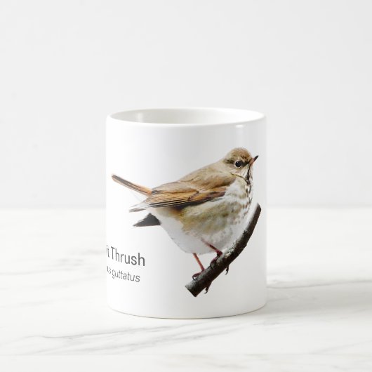 Hermit Thrush Coffee Tasse (Mittel)