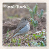 Hermit Thrush Glasuntersetzer (Vorderseite)