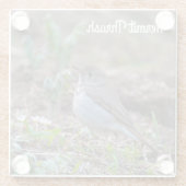 Hermit Thrush Glasuntersetzer (Rückseite)