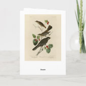 Hermit Thrush, Graue Jay Audubons Vögel von Amerik Karte (Rückseite)