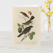 Hermit Thrush, Graue Jay Audubons Vögel von Amerik Karte (Gelbe Blume)