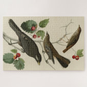 Hermit Thrush, Graue Jay Audubons Vögel von Amerik Puzzle (Horizontal)
