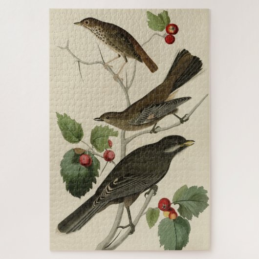 Hermit Thrush, Graue Jay Audubons Vögel von Amerik Puzzle (Vertikal)