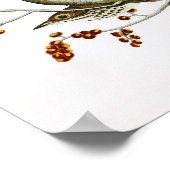 Hermit Thrush John James Audubon Birds of America Poster (Ecke)