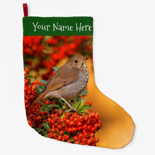 Hermit Thrush Songbird am Scarlet Firethorn Großer Weihnachtsstrumpf (Vorderseite)