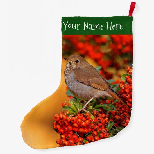 Hermit Thrush Songbird am Scarlet Firethorn Großer Weihnachtsstrumpf (Rückseite)