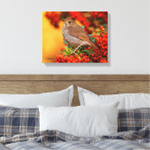 Hermit Thrush Songbird am Scarlet Firethorn Leinwanddruck (Insitu (Schlafzimmer))