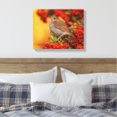 Hermit Thrush Songbird am Scarlet Firethorn Leinwanddruck (Insitu (Schlafzimmer))
