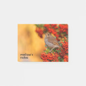 Hermit Thrush Songbird am Scarlet Firethorn Post-it Klebezettel (Vorderseite)