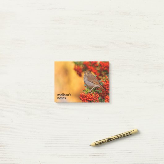 Hermit Thrush Songbird am Scarlet Firethorn Post-it Klebezettel (Auf Schreibtisch)