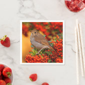 Hermit Thrush Songbird am Scarlet Firethorn Serviette (Beispiel)