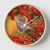 Hermit Thrush Songbird am Scarlet Firethorn Uhr (Vorderseite)