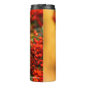 Hermit Thrush Songbird auf Scarlet Firethorn Thermosbecher (Rückseite)