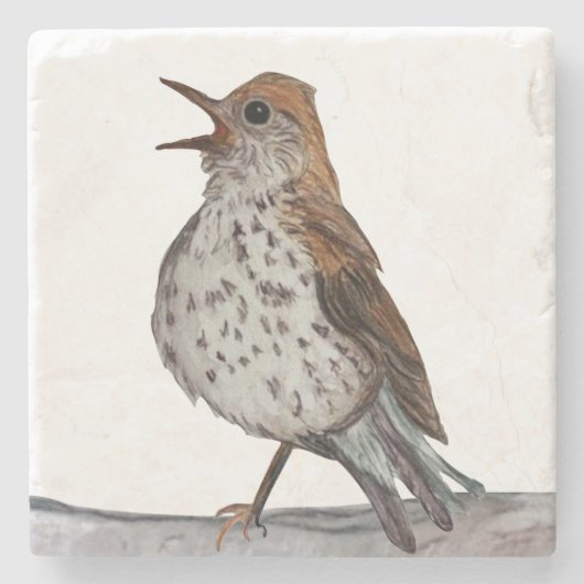 Hermit Thrush Stone Untersetzer (Vorderseite)