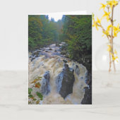Hermitage Waterfall Card Karte (Gelbe Blume)