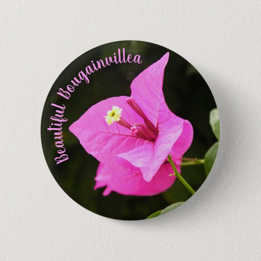 Hermosa Bugambilia Button (Vorderseite)