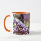 Hermosa Mariposa polinizando flores Tasse (Links)