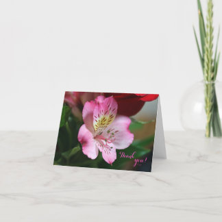 Hermoso Danke, Card Dankeskarte