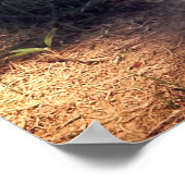 HERO AUDIE MURPHY GRAVE - ARLINGTON POSTER (Ecke)