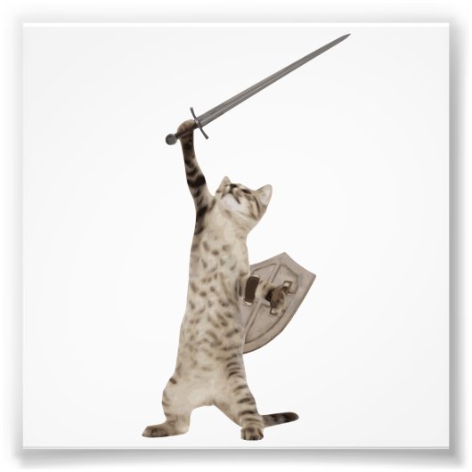 Heroic Warrior Knight Cat Fotodruck (Vorne)