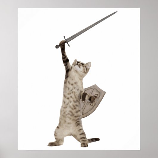 Heroic Warrior Knight Cat Poster (Vorne)
