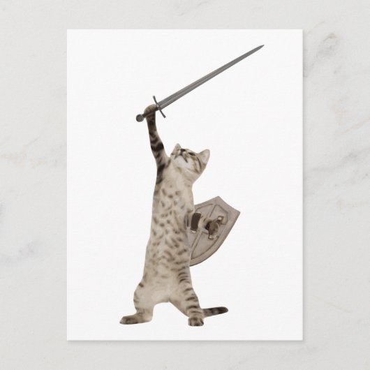 Heroic Warrior Knight Cat Postkarte (Vorderseite)